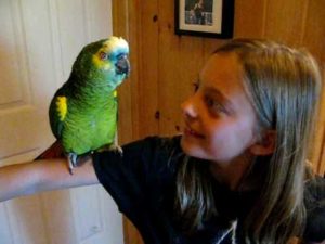 parrot saved the baby