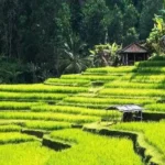 10 Best Places To Visit in Indonesia