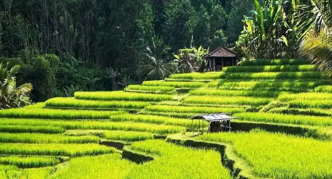 10 Best Places To Visit in Indonesia