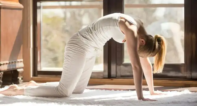 10 Best Yoga Asanas and Poses to Boost Immunity